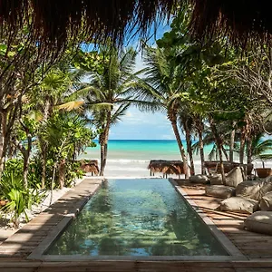 xela.tulum-hotels.net/