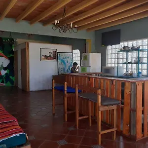  Hostel Enjoy Vallarta 19